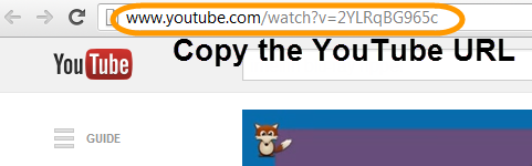 How to get Video URL